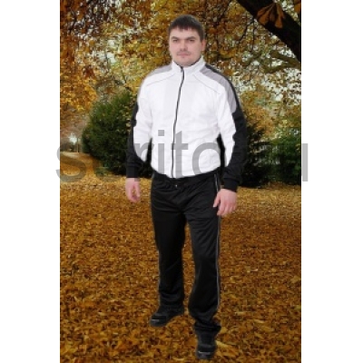 Спортивный костюм мужской КМ-06-05