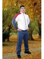 Спортивный костюм мужской КМ-06-01